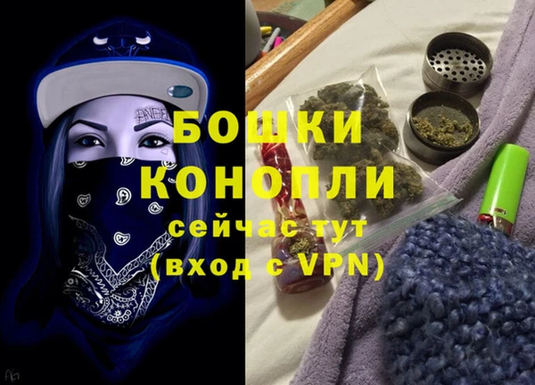 Альфа ПВП Белокуриха