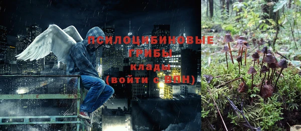 Альфа ПВП Белокуриха