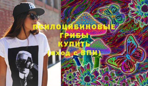 сатива Богородск